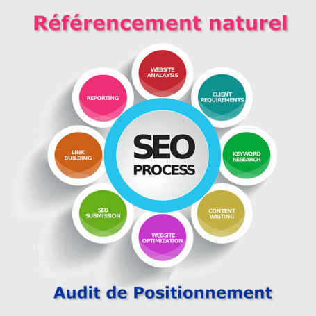 Audit référencement Prestashop